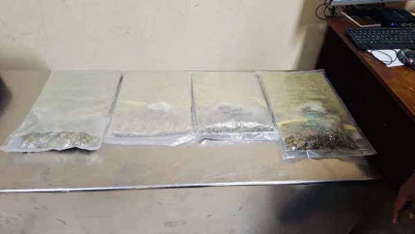 கட்டுநாயக்கவில் 5 கோடி 'குஷ்' போதைப்பொருளுடன் ஒருவர் கைது! 